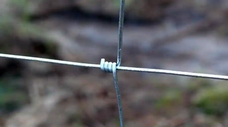 Zakład produkcyjny Maszyny S.C.